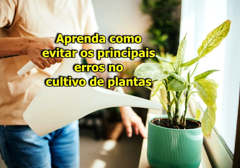erros no cultivo