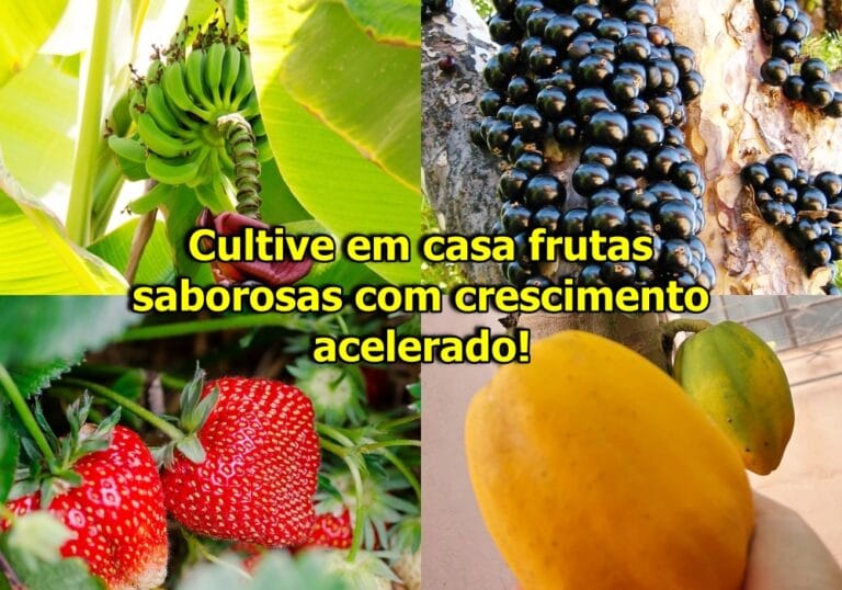 frutas que crescem rápido