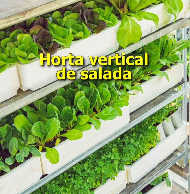 horta vertical de salada