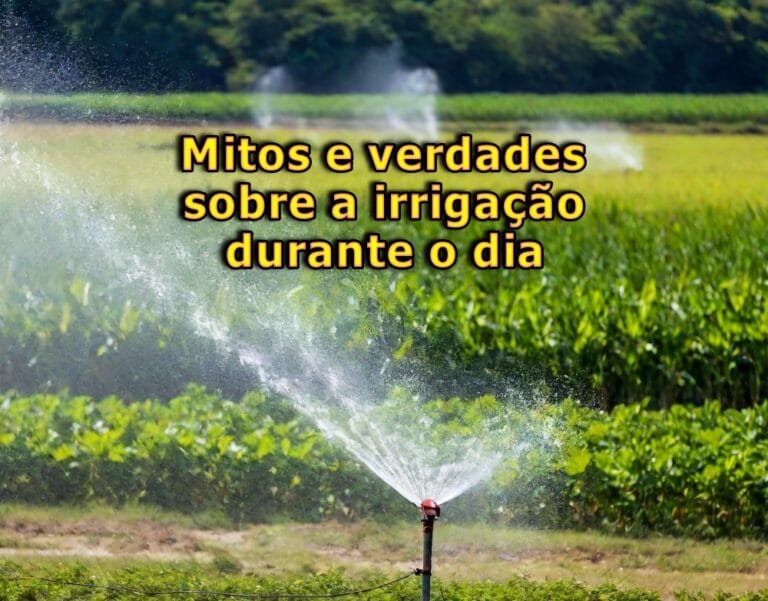 mitos e verdades sobre a irrigação durante o dia
