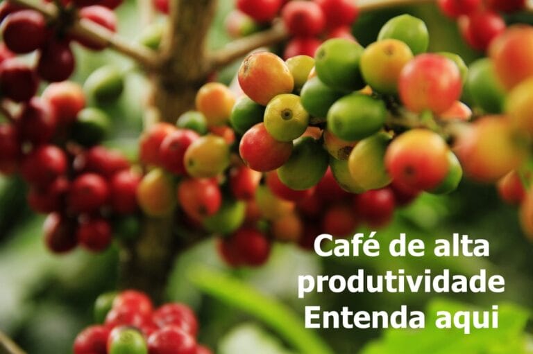 Irrigação efetiva no café