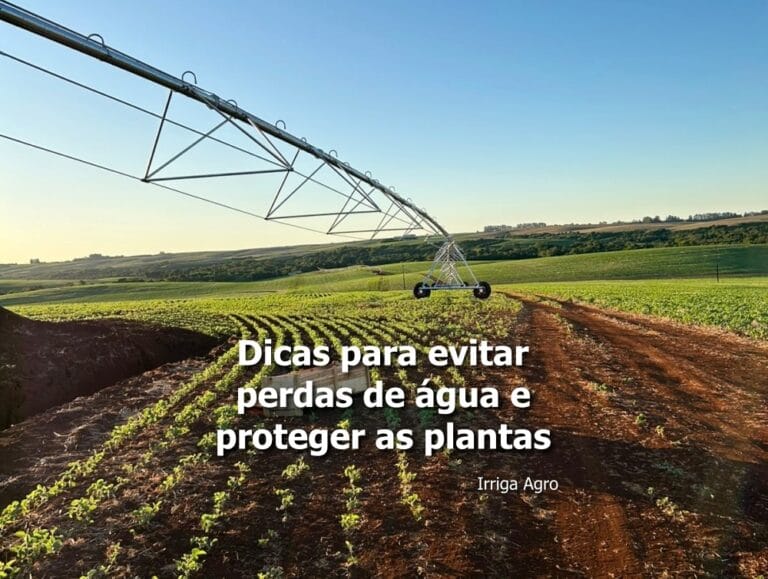 Como evitar perda de água na irrigação no inverno