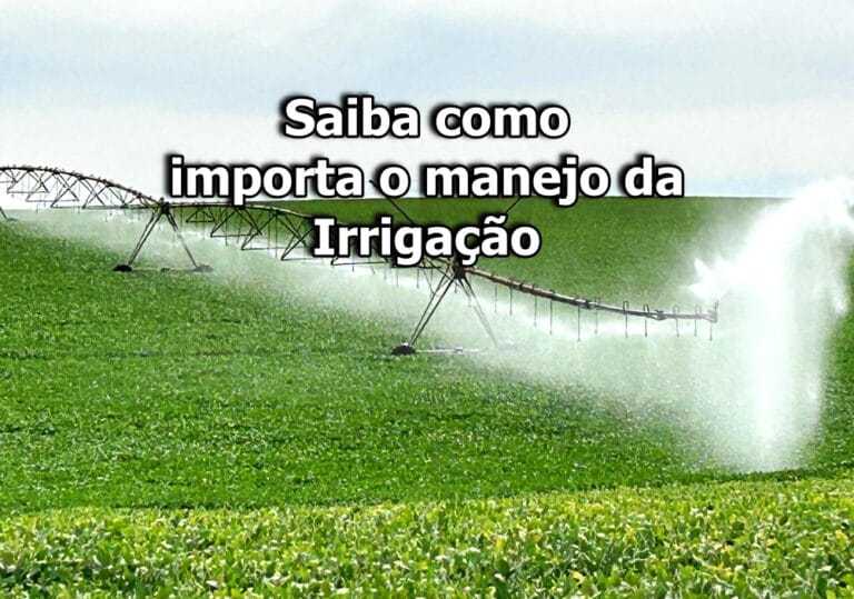 Manejo racional da irrigação: o que é e por que importa?