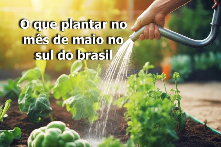 o que plantar no mês de maio no sul do brasil