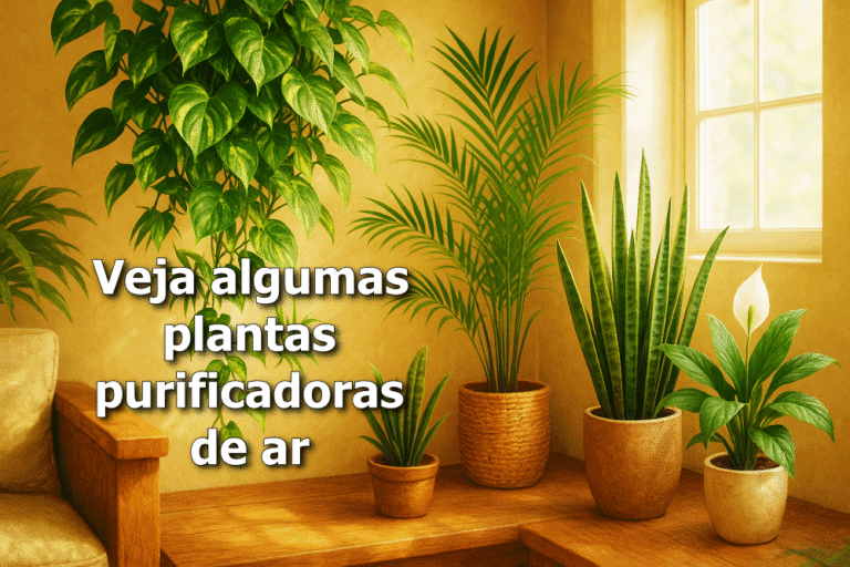 plantas que purificam o ar