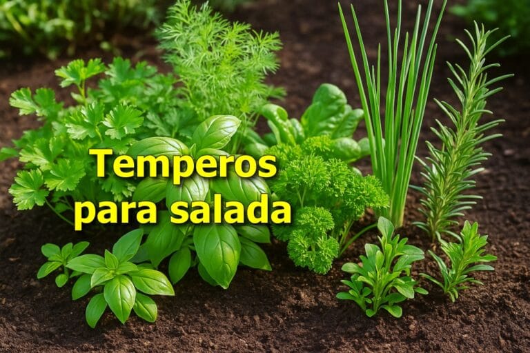 temperos para salada