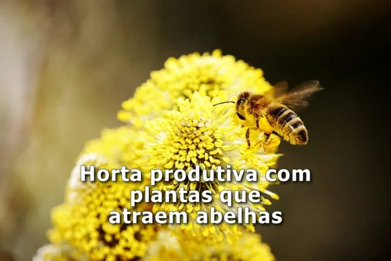 Plantas que atraem abelhas