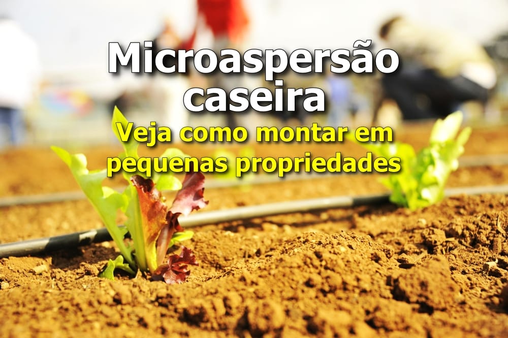 Aprenda como montar microaspersão caseira para hortas e jardins com baixo custo. Irrigação prática e eficiente em pequenas propriedades.
