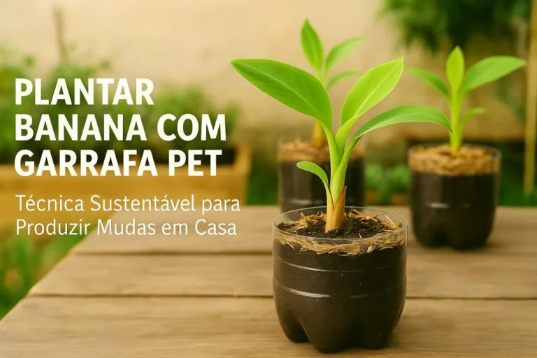como plantar banana com garrafa pet
