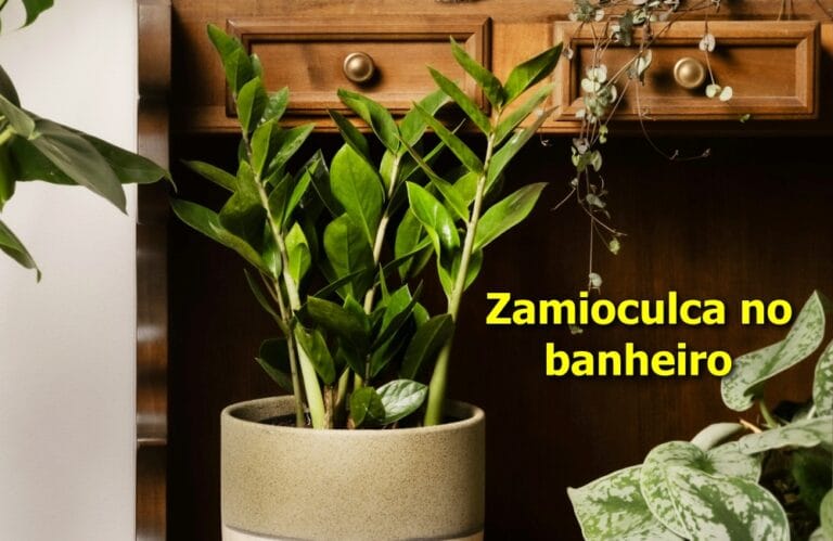 Zamioculca no banheiro