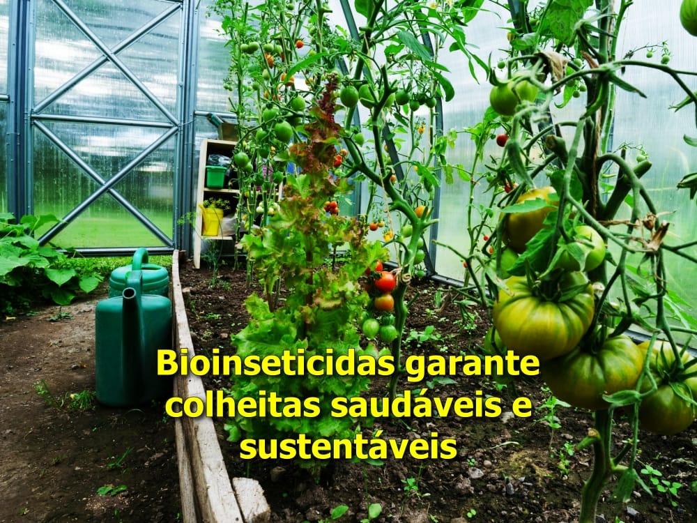 bioinseticidas
