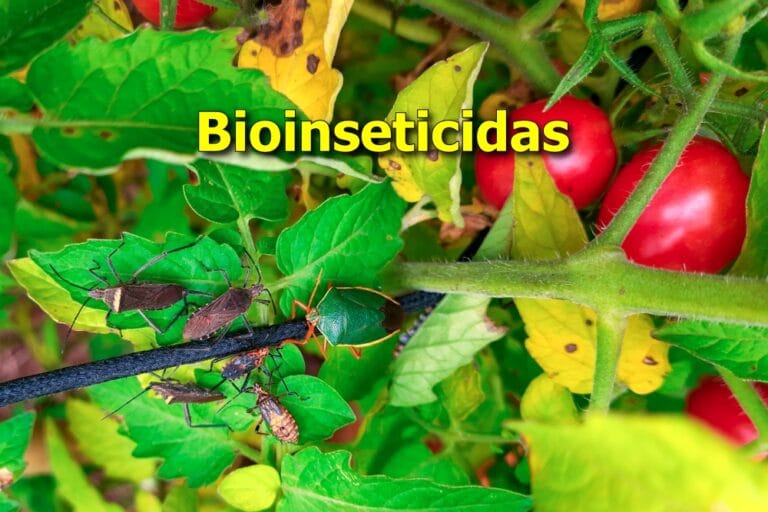 bioinseticidas