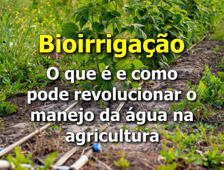 O Que é Bioirrigação