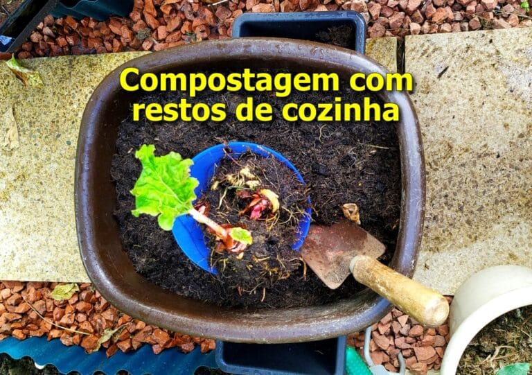 como fazer compostagem com alimentos