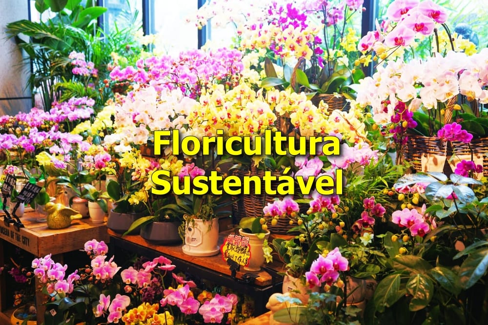Floricultura sustentável