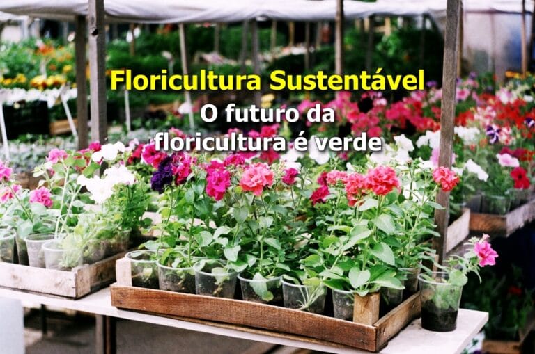 Floricultura sustentável