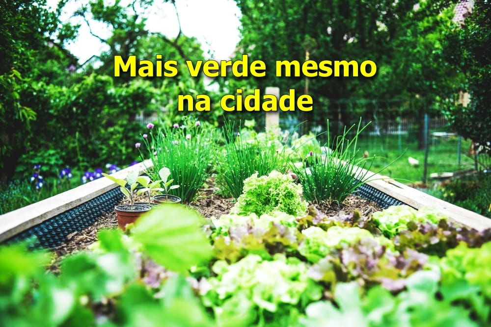 Horta urbana