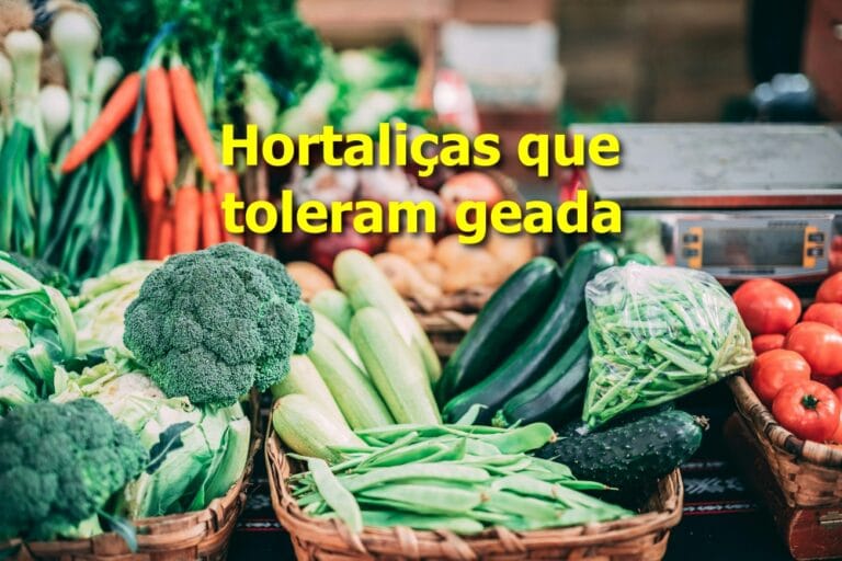 hortaliças que toleram geada