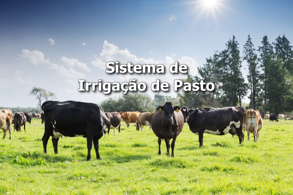 Sistema de irrigação de pastagens
