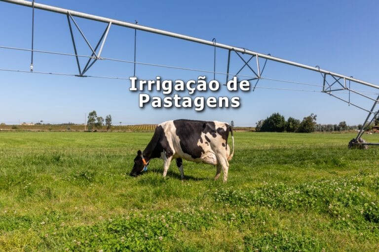 Irrigação de pastagens