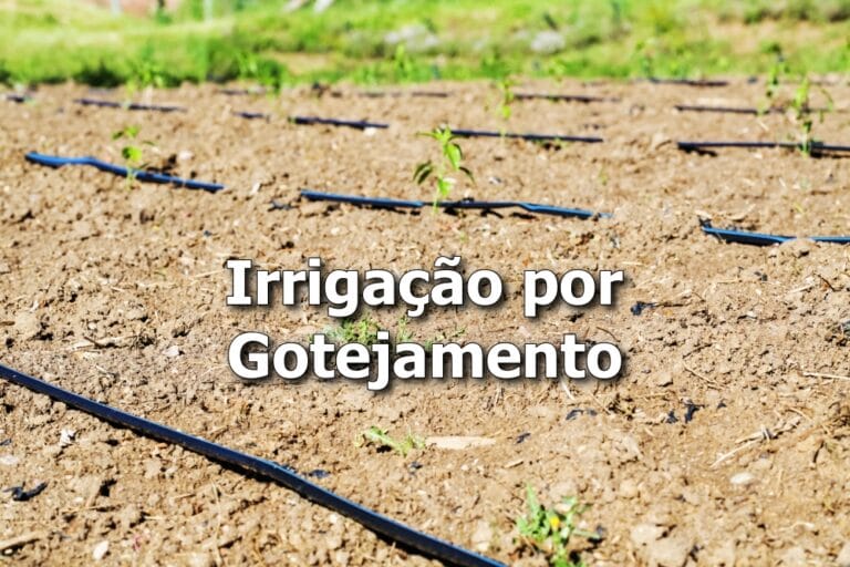 Irrigação por Gotejamento: instalar, manter e lucrar mais
