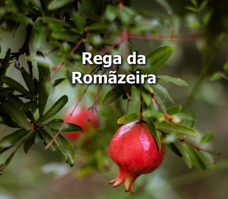 Rega da Romãzeira