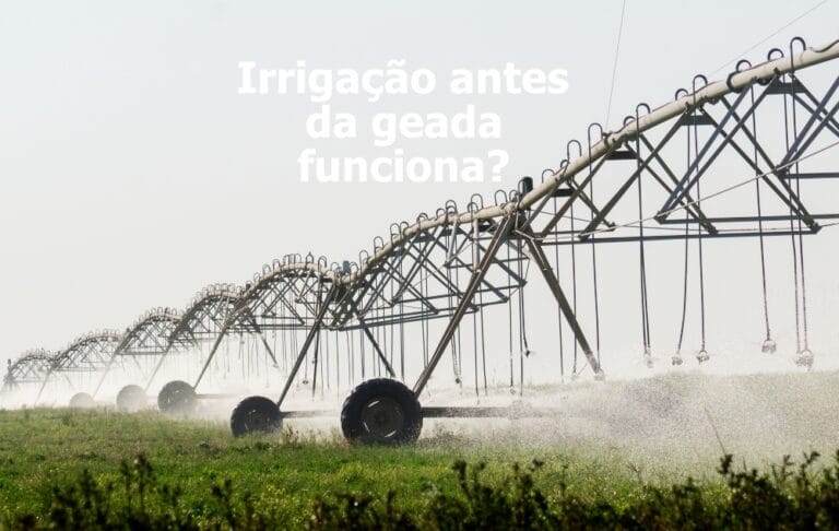 Irrigação antes da geada