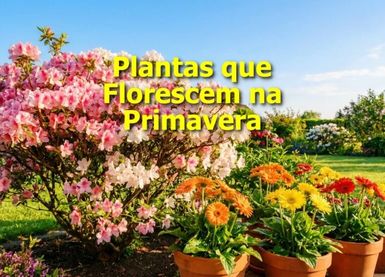 Plantas que Florescem na Primavera