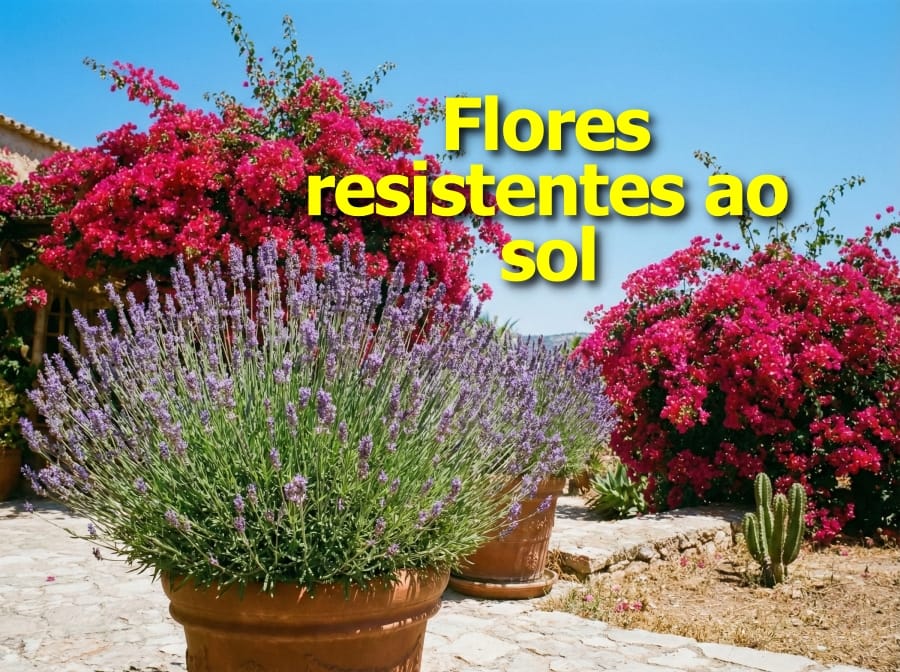 flores resistentes ao sol