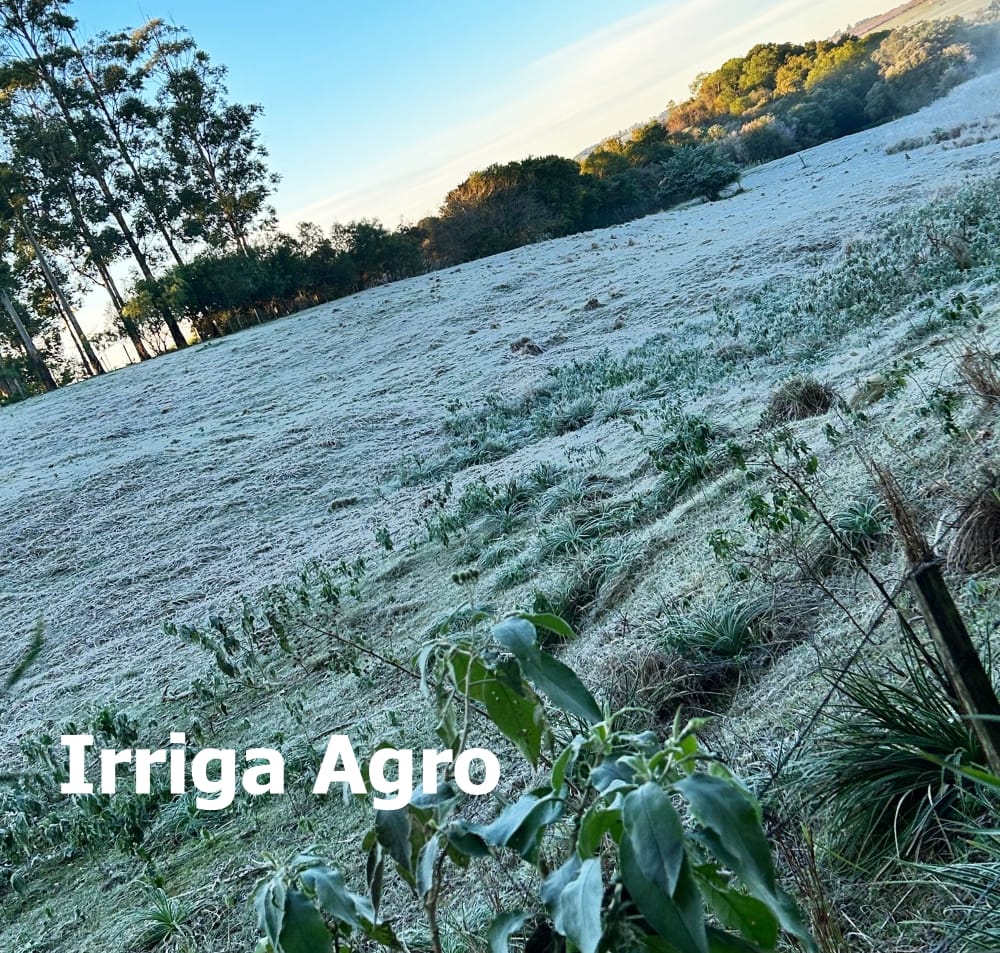 geada branca