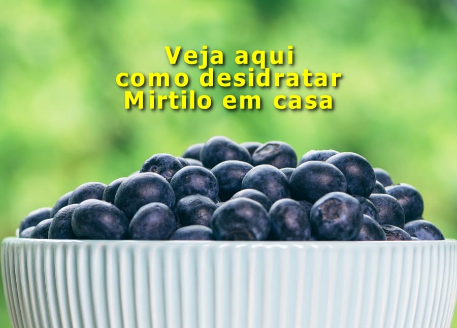 Como secar mirtilo em casa