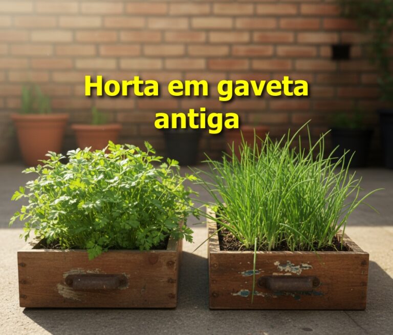 horta em gaveta