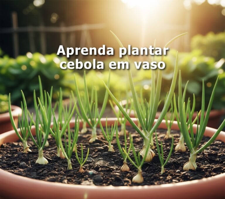 como plantar cebola em vaso