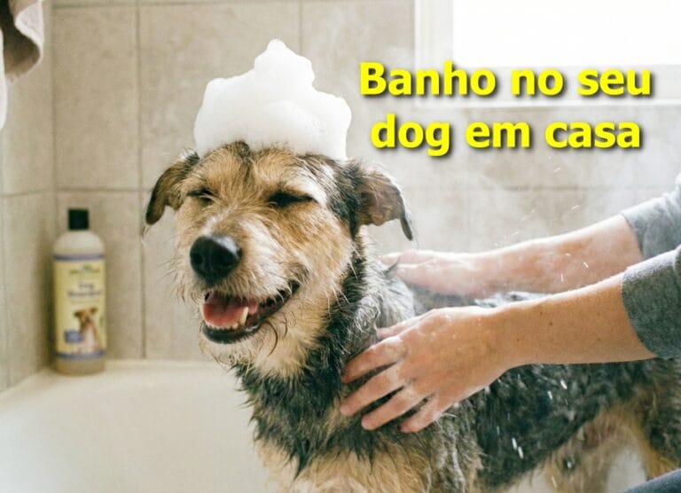 como dar banho em cachorro em casa