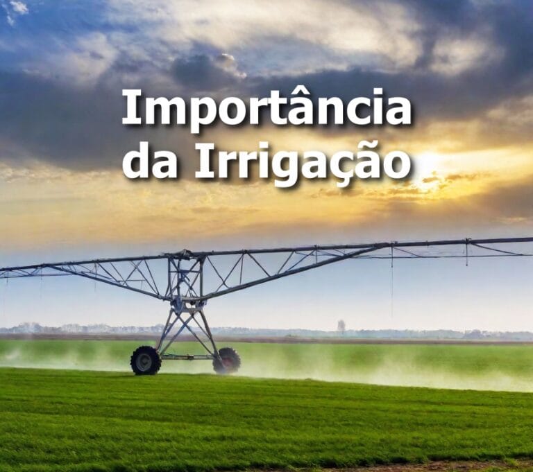 Importância da Irrigação