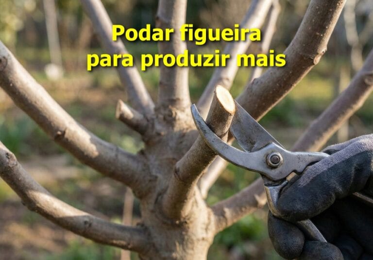 Como podar Figueira
