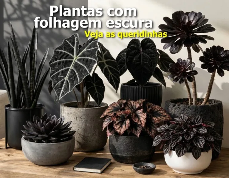 plantas com folhagem escura