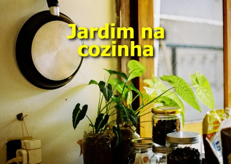 jardim na cozinha