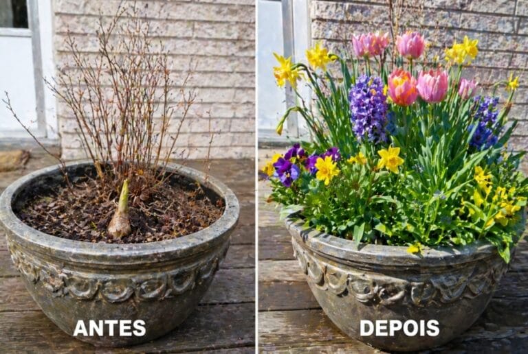 Plantas que Parecem Mortas, Mas Voltam Mais Fortes